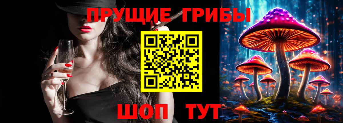 Галлюциногенные грибы MAGIC MUSHROOMS  Вход с VPN  Тимашёвск 
